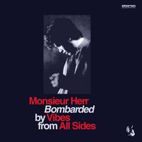 Monsieur Herr - Bombarded by Vibes from All Sides