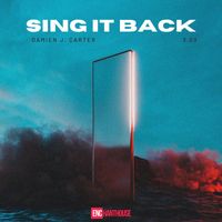 Damien J. Carter - Sing It Back