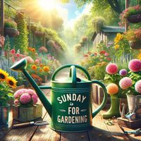 Relax Time Zone - Sunday is for Gardening (Bebop Botany Jazz)
