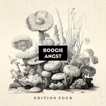 Various Artists - Boogie Angst Edition Four