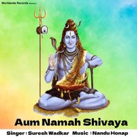 Suresh Wadkar - Aum Namah Shivaya