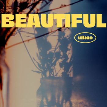 David Wilson - Beautiful