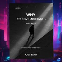 WHY - Perceive much more