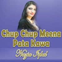 Nazia Iqbal - Chup Chup Meena Pata Kawa