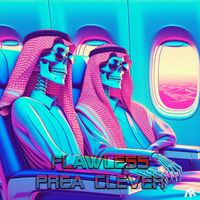 Flawless - Prea Clever