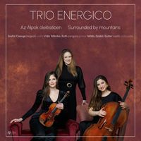 Trio Energico - Surrounded by Mountains