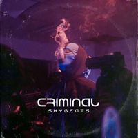 Skybeats - Criminal (Explicit)