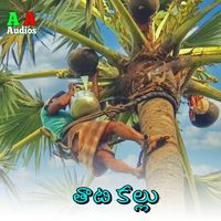 Lalitha Sagari - Thati Kallu
