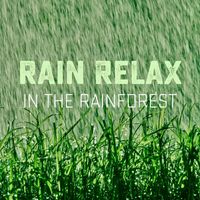 Rain Relax - In the Rainforest