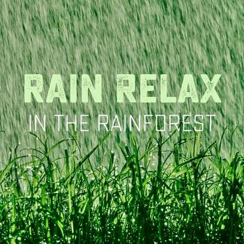 Rain Relax - In the Rainforest