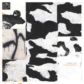 Client_03 - IntrospectionDecimator