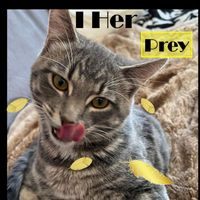 Canary - I Her Prey