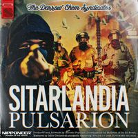 The Darrow Chem Syndicate - Sitarlandia (Pulsarion Remix)
