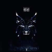 BabyMan - TALK (Explicit)