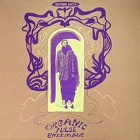 Organic Pulse Ensemble - Zither Suite