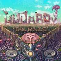 Hujaboy - The Maze
