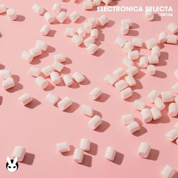 Various Artists - Electronica Selecta