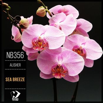 Alisher - Sea ​​Breeze