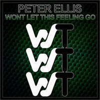 Peter Ellis - Wont Let This Feeling Go