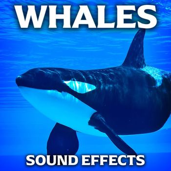 Sound Ideas - Whales Sound Effects