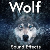 Sound Ideas - Wolf Sound Effects