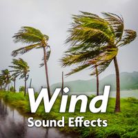 Sound Ideas - Wind Sound Effects