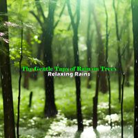 Relaxing Rains - The Gentle Taps of Rain on Trees