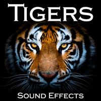 Sound Ideas - Tigers Sound Effects