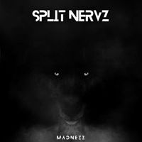 Madnezz - SpliT NervZ (Explicit)