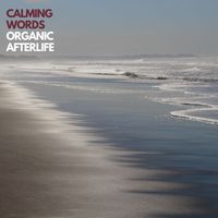 Organic Afterlife - Calming Words
