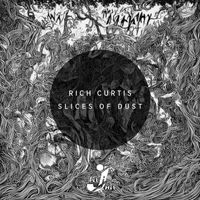 Rich Curtis - Slices Of Dust