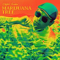 Likkle Jordee - Marijuana Tree