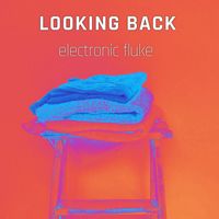 Electronic Fluke - Looking back