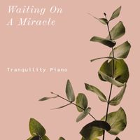 Tranquility Piano - Waiting on A Miracle