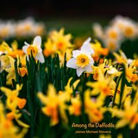 James Michael Stevens - Among the Daffodils