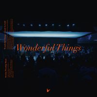 Destiny Worship Music - Wonderful Things (Live)