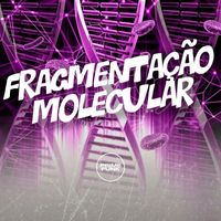 DJ RCS and DJ MALADIA featuring Prime Funk and Mc Gw - Fragmentação Molecular (Explicit)