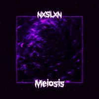 nxslxn - Meiosis