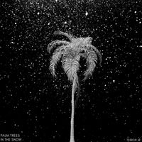 Terror Jr - Palm Trees In The Snow