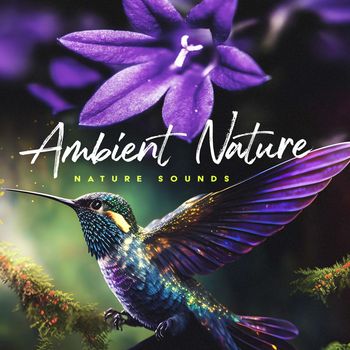 Nature Sounds - Ambient Nature