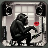 WildFlower - The Monkeys Are Building An Asylum