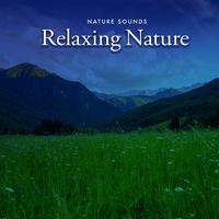 Nature Sounds - Relaxing Nature