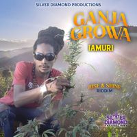 Iamuri - Ganja Growa
