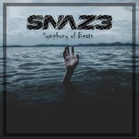Snaz3 - Symphony of Beats