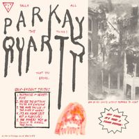 Parquet Courts - Tally All the Things You Broke