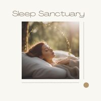 Chakra Meditation Specialists - Sleep Sanctuary: Deep Delta Waves and Binaural Beats for Relaxing Meditation