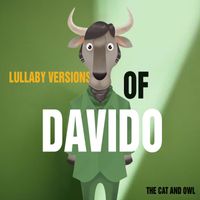 The Cat and Owl - Lullaby Versions of Davido