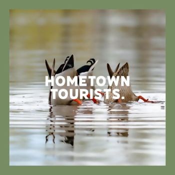 Hometown Tourists - Fish Out Of Water
