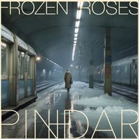 Pinhdar - Frozen Roses