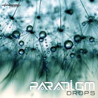 Paradigm - Drops